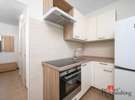 Pronájem bytu, 1+1, 36,3 m²