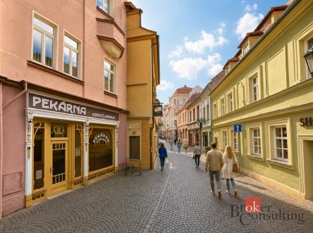 Prodej domu/vily, 499 m²