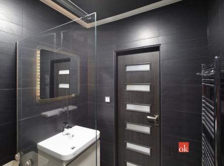 Pronájem bytu, 1+1, 50 m²