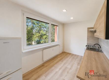 Pronájem bytu, 2+1, 56 m²