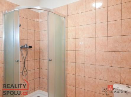 Pronájem bytu, 1+kk, 45 m²