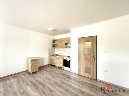Pronájem bytu, 1+kk, 45 m²