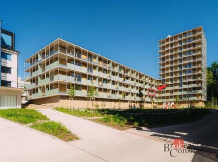 Pronájem bytu, 2+kk, 54,25 m²