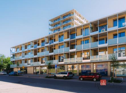Pronájem bytu, 2+kk, 54,25 m²