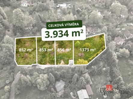 Prodej pozemku pro bydlení, 3 934 m²