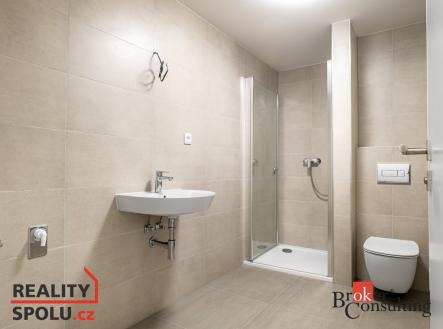 Pronájem bytu, 1+kk, 36 m²
