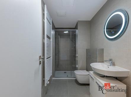 Pronájem bytu, 1+kk, 40 m²