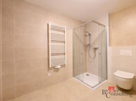 Pronájem bytu, 1+kk, 43 m²