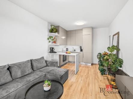 Pronájem bytu, 2+kk, 48 m²