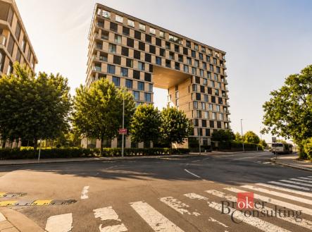 Pronájem bytu, 2+kk, 53 m²