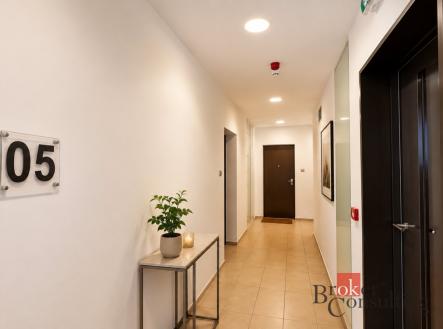 Pronájem bytu, 2+kk, 53 m²