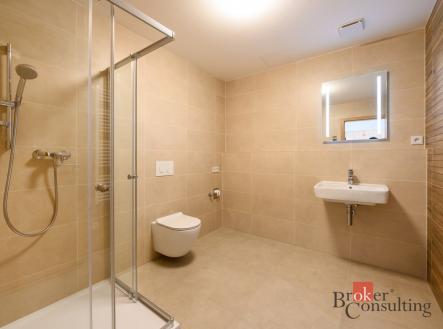 Pronájem bytu, 1+kk, 43,59 m²