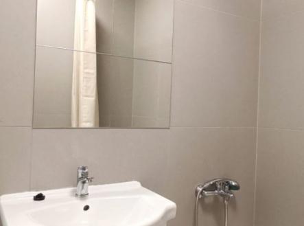 Pronájem bytu, 2+1, 52 m²