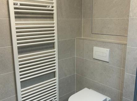 Pronájem bytu, 1+kk, 28 m²