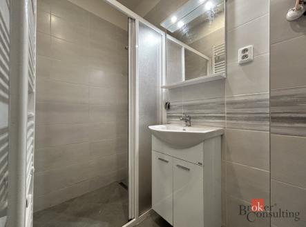 Pronájem bytu, 2+1, 69 m²