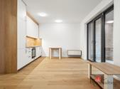 Pronájem bytu, 1+kk, 44 m²