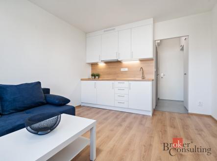 Pronájem bytu, 1+kk, 20 m²