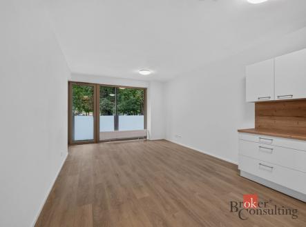 Pronájem bytu, 2+kk, 55,82 m²
