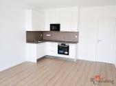 Pronájem bytu, 2+kk, 52,3 m²
