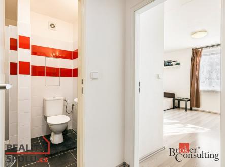 Pronájem bytu, 1+kk, 33 m²