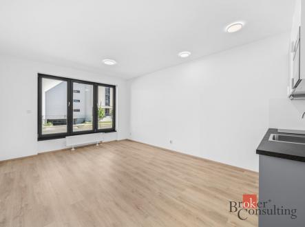 Pronájem bytu, 1+kk, 33,25 m²