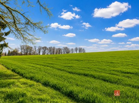 Prodej pozemku, zemědělská půda, 54 936 m²