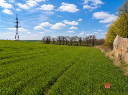 Prodej pozemku, zemědělská půda, 54 936 m²