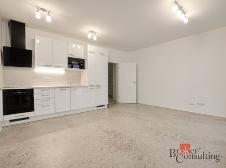 Pronájem, byty/1+kk, 34 m2, Železná 3070/24, Jižní Předměstí, 30100 Plzeň, Plzeň-město [ID 89478]