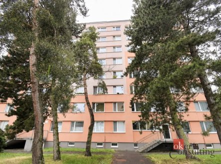 Nemovitost