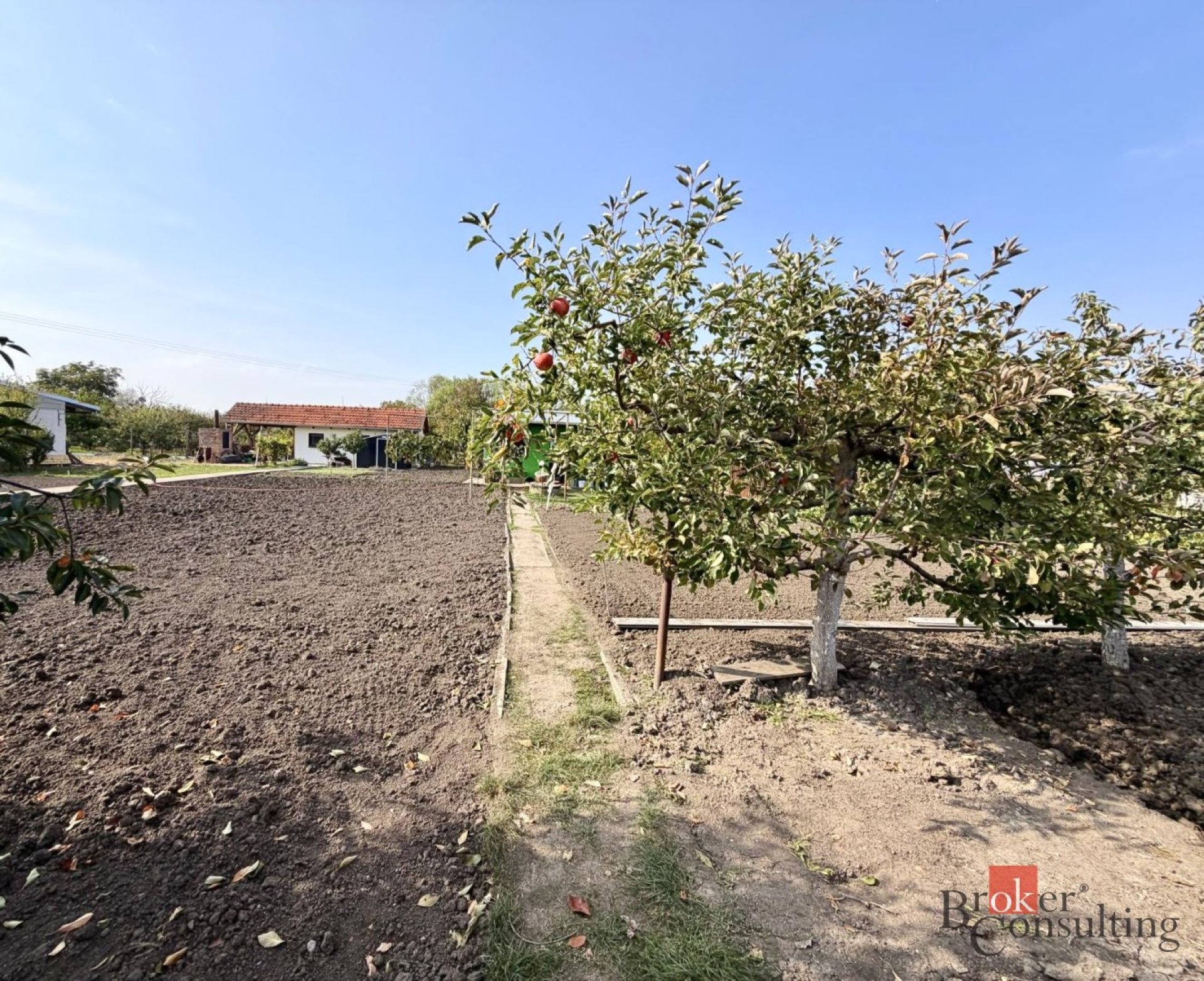 Prodej, pozemky/zahrada, 401 m2, 69145 Podivín, Břeclav [ID 91018]