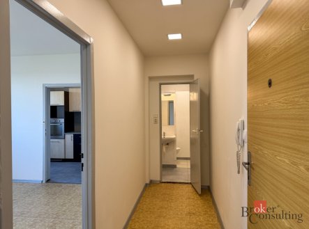 Pronájem bytu, 2+1, 45 m², Hodonín – náhled fotky 3