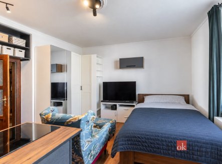 Prodej bytu, 1+kk, 32,8 m², Praha – náhled fotky 2