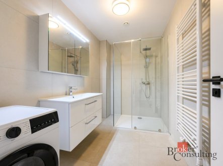 Pronájem bytu, 3+kk, 99 m², Plzeň – náhled fotky 2