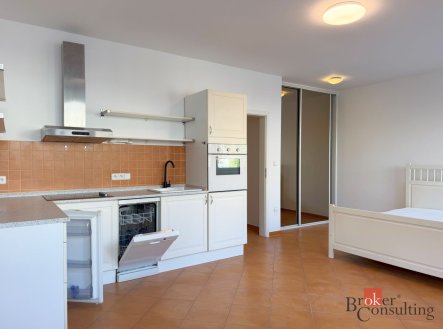 Pronájem bytu, 1+kk, 33 m²
