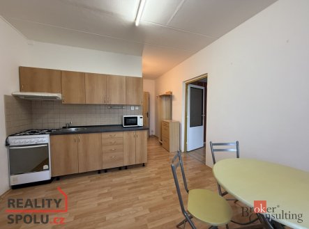 Pronájem bytu, 1+1, 38 m², Louny – náhled fotky 4