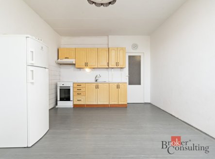 Prodej bytu, 1+1, 47,17 m², Plzeň – náhled fotky 2