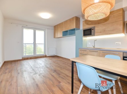 Pronájem bytu, 1+kk, 35 m²