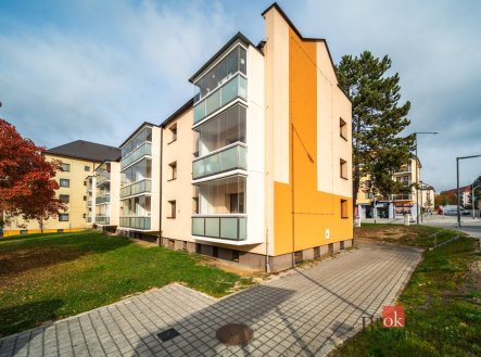Prodej bytu, 1+kk, 25 m²