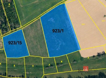Prodej pozemku, trvalý travní porost, 44 551 m²