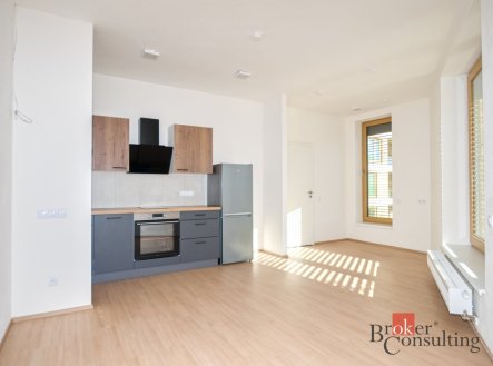 Prodej bytu, 1+kk, 29,59 m²