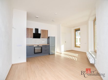 Prodej bytu, 1+kk, 29,59 m²