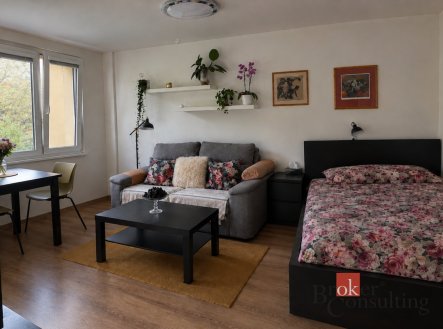 Pronájem bytu, 1+kk, 27 m²