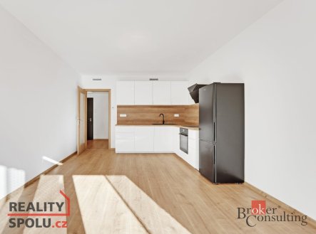 Pronájem bytu, 2+kk, 53 m²