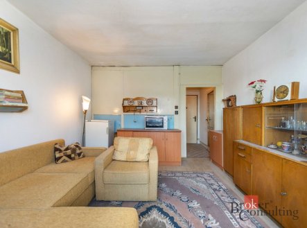 Prodej bytu, 1+kk, 21 m²