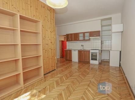 Prodej bytu, 1+kk, 47 m²