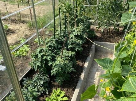 Prodej pozemku, zahrada, 174 m²