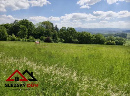 Prodej pozemku pro bydlení, 2 369 m²