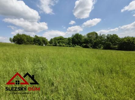 Prodej pozemku pro bydlení, 2 369 m²