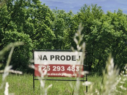 Nemovitost