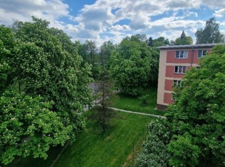 Prodej bytu, 3+1, 65 m²